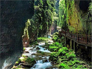 張家界旅游重大發(fā)現(xiàn):無冬天更無夏天——朝陽地縫景區(qū)